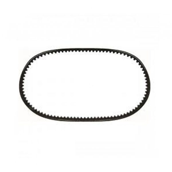 Correa Ref. 504038672 IVECO