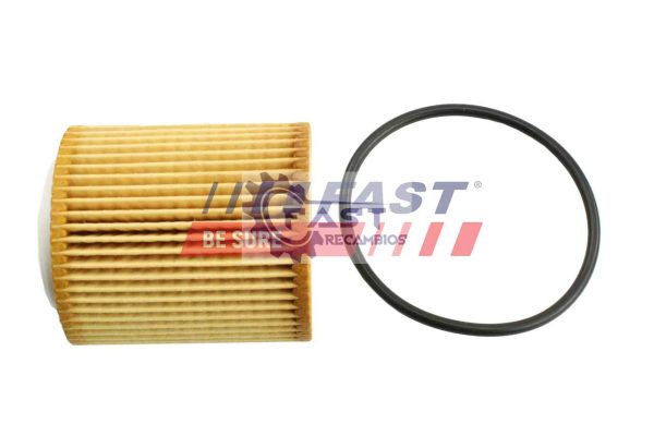 Filtro de aceite para Citroen Berlingo marca FAST FT38100